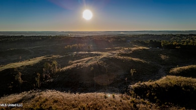 0 Mississippi 440, West, MS 39192 - photo 5