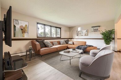 5931 Henry St, Maple Plain, MN 55359 - photo 4