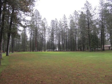 160 W Trappers Loop, Chewelah, WA 99109 - photo 3