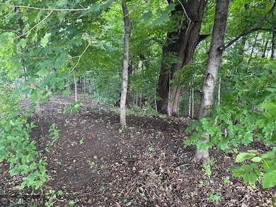 10492 Kalland Ln NE, Hanover, MN 55341 - photo 5