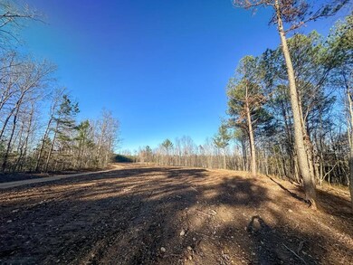 0 Firetower Rd unit 4, Centerville, TN 37033 - photo 4