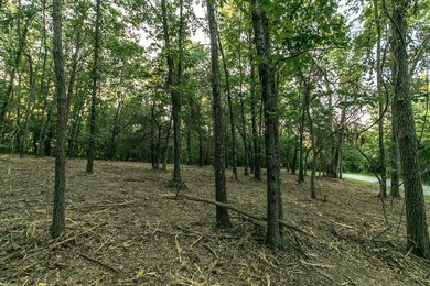 Lot 1 Ph 2 Misty River Subdivision, Nixa, MO 65714 - photo 7