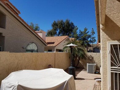 BACK YARD NEIGHBORHOOD VIEW