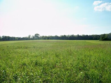 8 Mill Rd, Lebanon, TN 37090 - photo 4