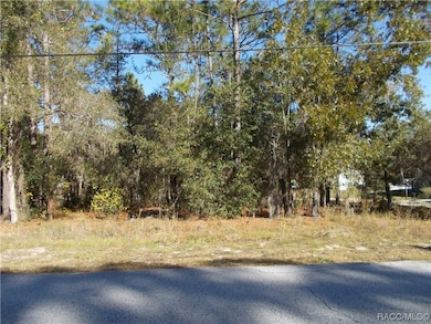 1401 E Bismark St, Hernando, FL 34442 - photo 3