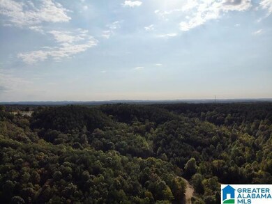 0000 Brooks Dr unit 1, Brookside, AL 35068 - photo 2