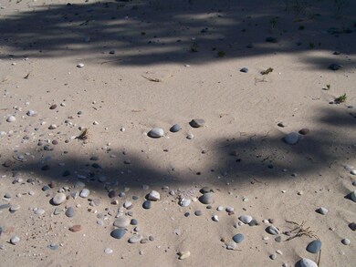 Beach Area