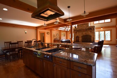 Indoor grill with hood
