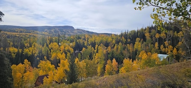 overlook view and ski resort