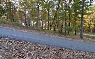 Lot 1 Serenity Dr, Blairsville, GA 30512 - photo 7