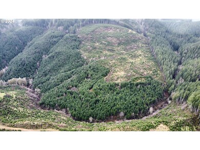 0 Logsden Rd, Logsden, OR 97357 - photo 5