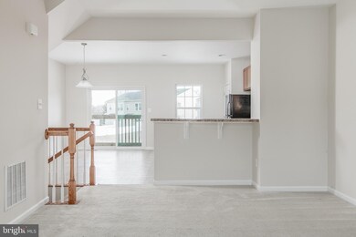 203 Tidewater Terrace, Falling Waters, WV 25419 - photo 7