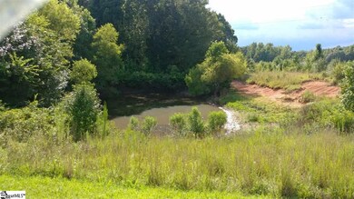 586 Robinson Dairy Rd, Enoree, SC 29335 - photo 3