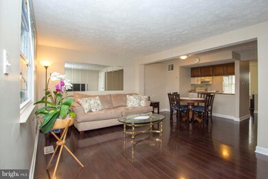 5910 Rowanberry Dr, Elkridge, MD 21075 - photo 3