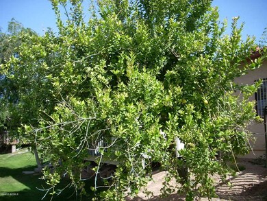 501 E 2nd Ave unit 8, Mesa, AZ 85204 - photo 6