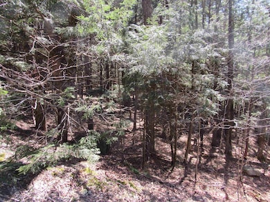 0 Stratton View Rd unit 26, Winhall, VT 05340 - photo 6