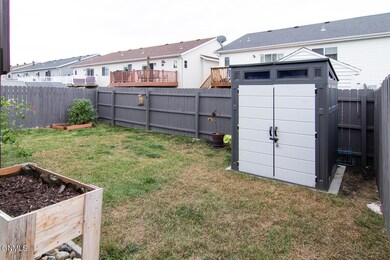 Image_7