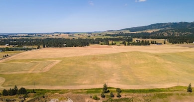 13505 E Gibbs Rd, Valleyford, WA 99023 - photo 4