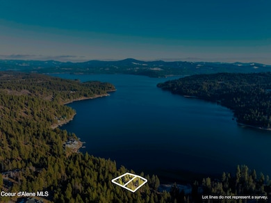 DJI_20250122062628_0870_D-HDR-Edit 2