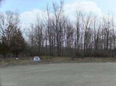 0 Baileys Dr unit 4 14009618, Wayland, MI 49348 - photo 3