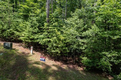 Lot 11 Bear Cove at Fires C, Hayesville, NC 28904 - photo 6