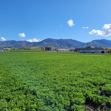 377 E 8900 S, Paradise, UT 84328 - photo 5