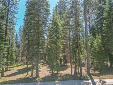 37 Panther Meadow Dr, McCloud, CA 96057 - photo 4