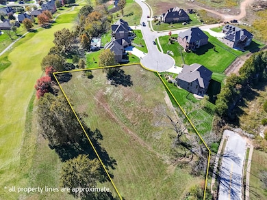 3182 W Bluffview St, Springfield, MO 65810 - photo 4