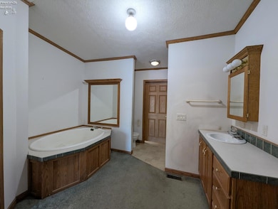 16030 W Moline-Martin Rd, Graytown, OH 43432 - photo 6