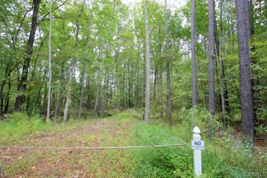 0 Vfw Rd unit 1528681, King William, VA 23181 - photo 3