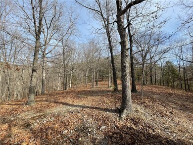 11828 Shockley Place Rd, Rogers, AR 72756 - photo 5