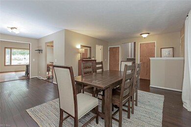 11261 Caves Rd, Chesterland, OH 44026 - photo 7