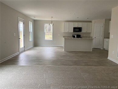 67 Dalmation (Lot 27) Ln, Parkton, NC 28371 - photo 3