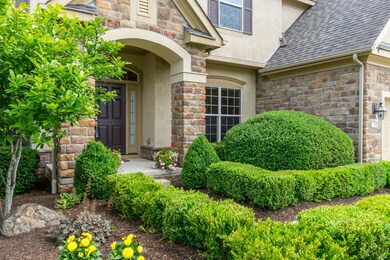 Beautiful Entryway
