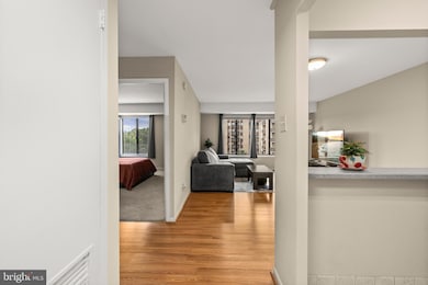 3100 S Manchester St unit 813, Falls Church, VA 22044 - photo 7