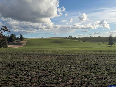 39986 Gisler Rd, Scio, OR 97374 - photo 5