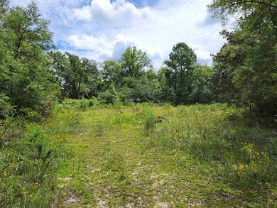 xx Friendship Ln, Crawfordville, FL 32327 - photo 4