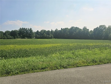 0 Clinton Rd, Weedsport, NY 13166 - photo 5