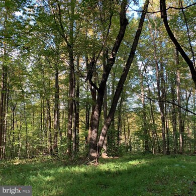 0 Mountain Ridge Way unit VACU2004116, Culpeper, VA 22701 - photo 6