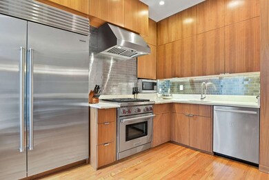 22 E Springfield St unit 1, Boston, MA 02118 - photo 5
