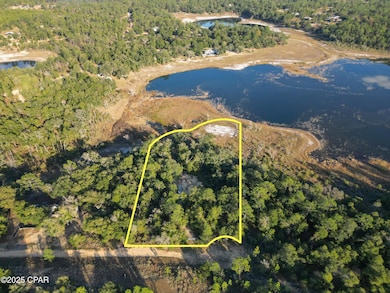 4660 Grassy Pond Rd, Chipley, FL 32428 - photo 3