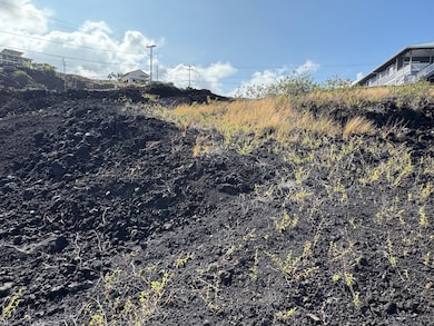 0 Aoao Ave unit 720060, Captain Cook, HI 96704 - photo 6