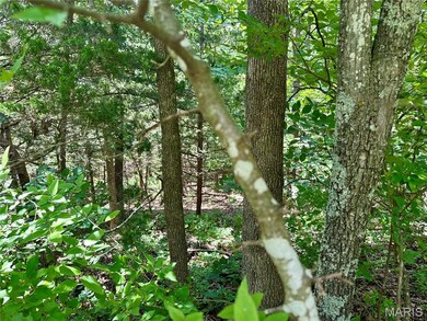 TBD Bluebird Ln, Rolla, MO 65401 - photo 5