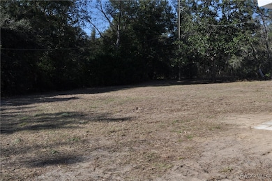 Rear yard