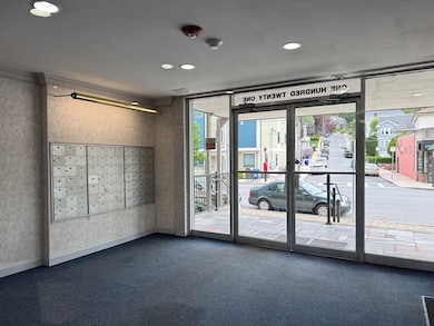 121 Tremont St unit B1, Brighton, MA 02135 - photo 3