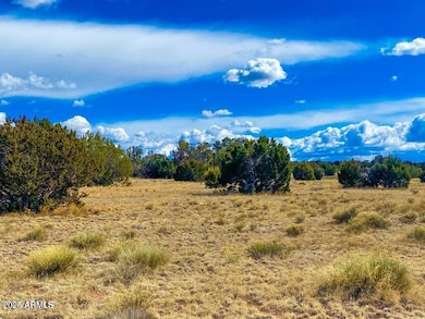 20240321005841099192000000-o (1)