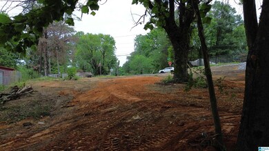 13478 Abernant Loop unit 1, Abernant, AL 35490 - photo 7