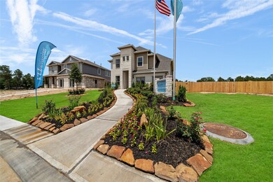 18640 Birch Orchard Ct, Magnolia, TX 77355 - photo 4