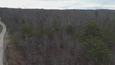 DJI_0019