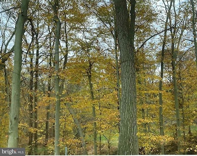 84 Edgewood Dr N, Elkton, MD 21921 - photo 6